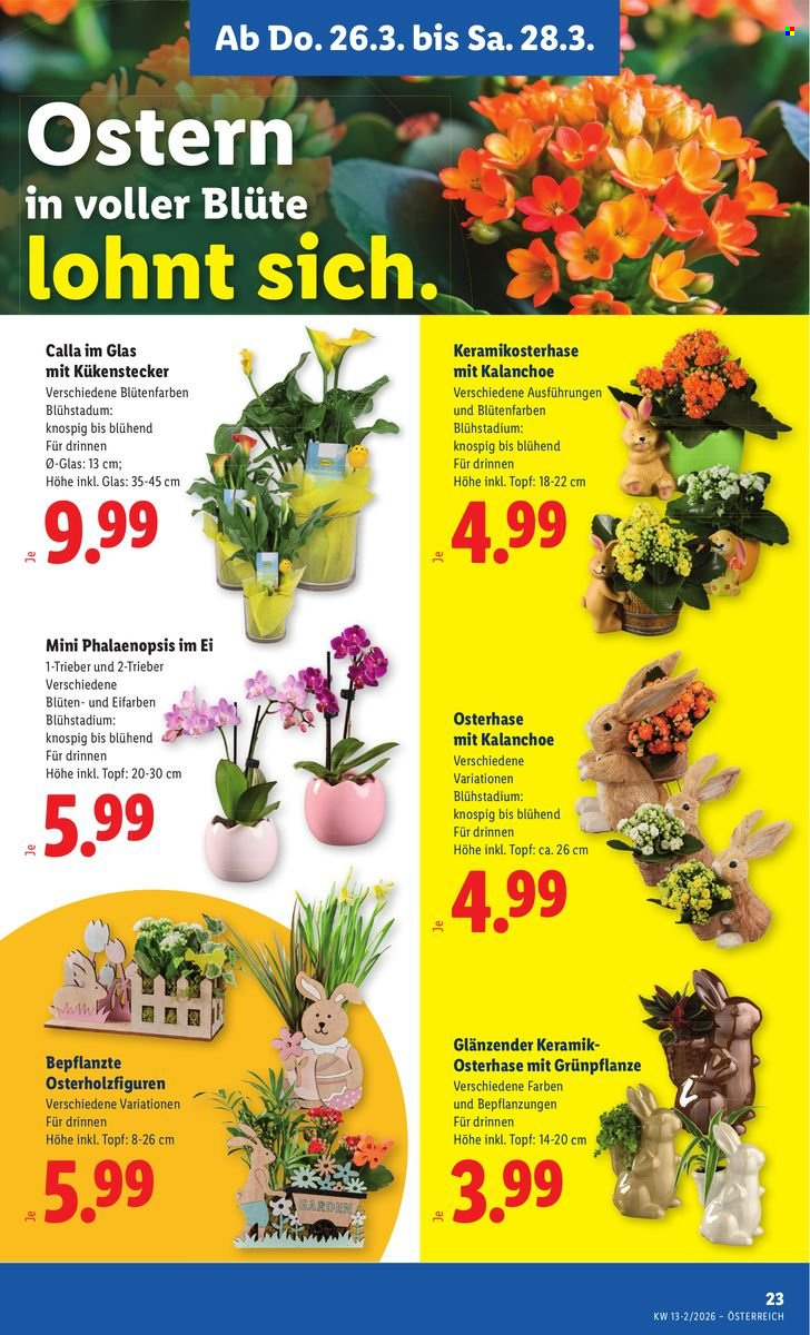 Angebote Lidl - 26.3.2026 - 1.4.2026. Seite 25