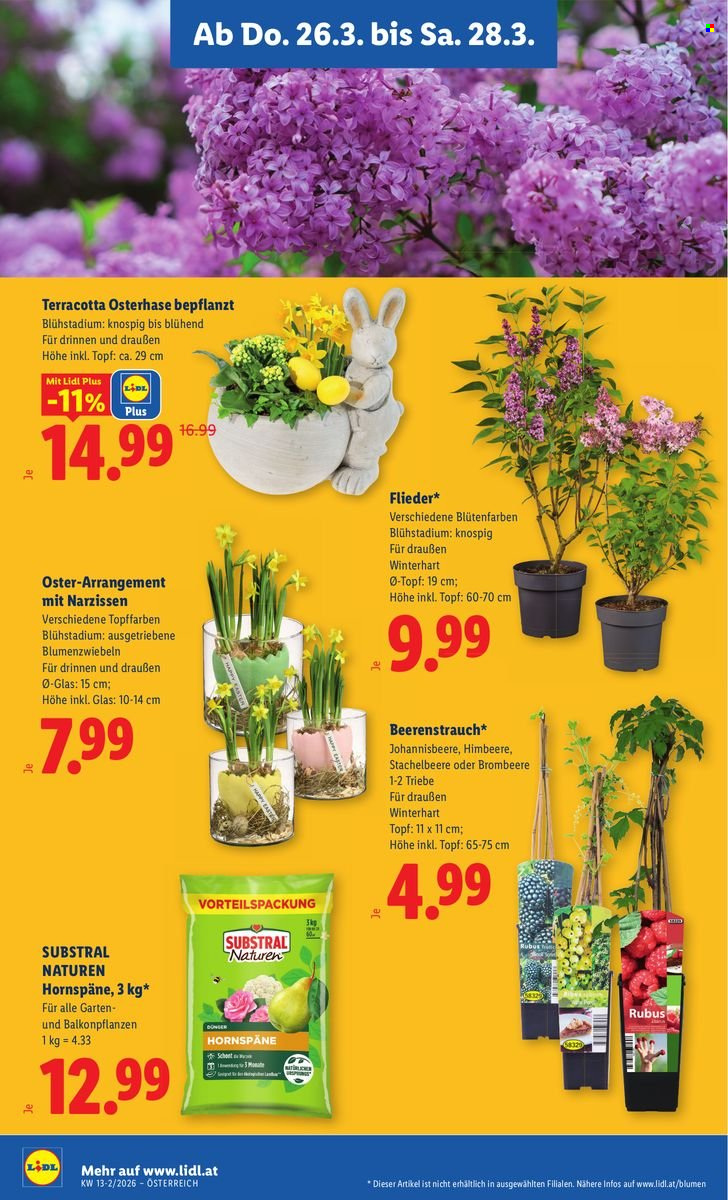 Angebote Lidl - 26.3.2026 - 1.4.2026. Seite 26
