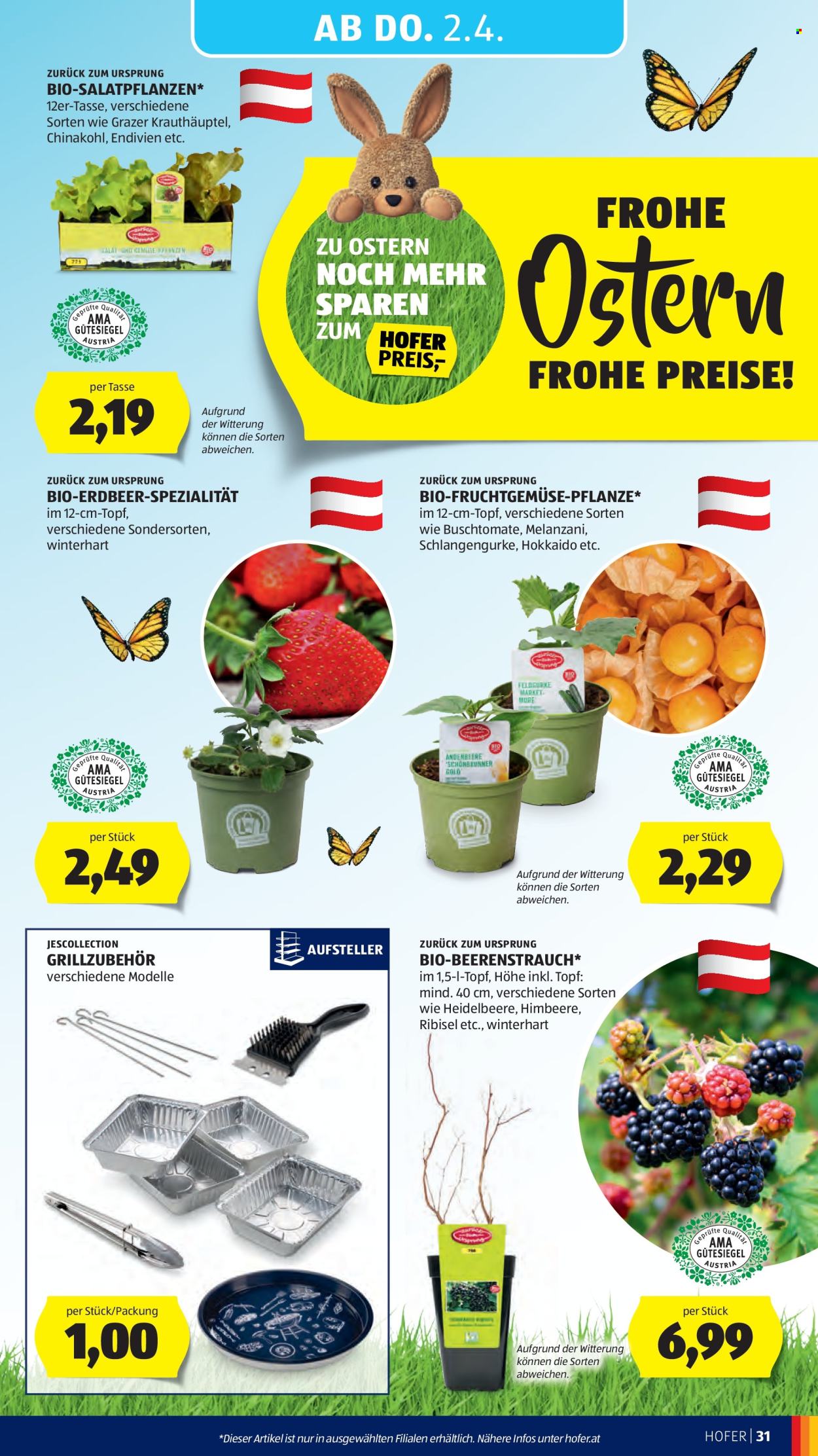 Angebote Hofer - 27.3.2026 - 2.4.2026. Seite 37