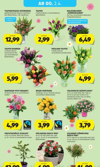 thumbnail - TULPEN