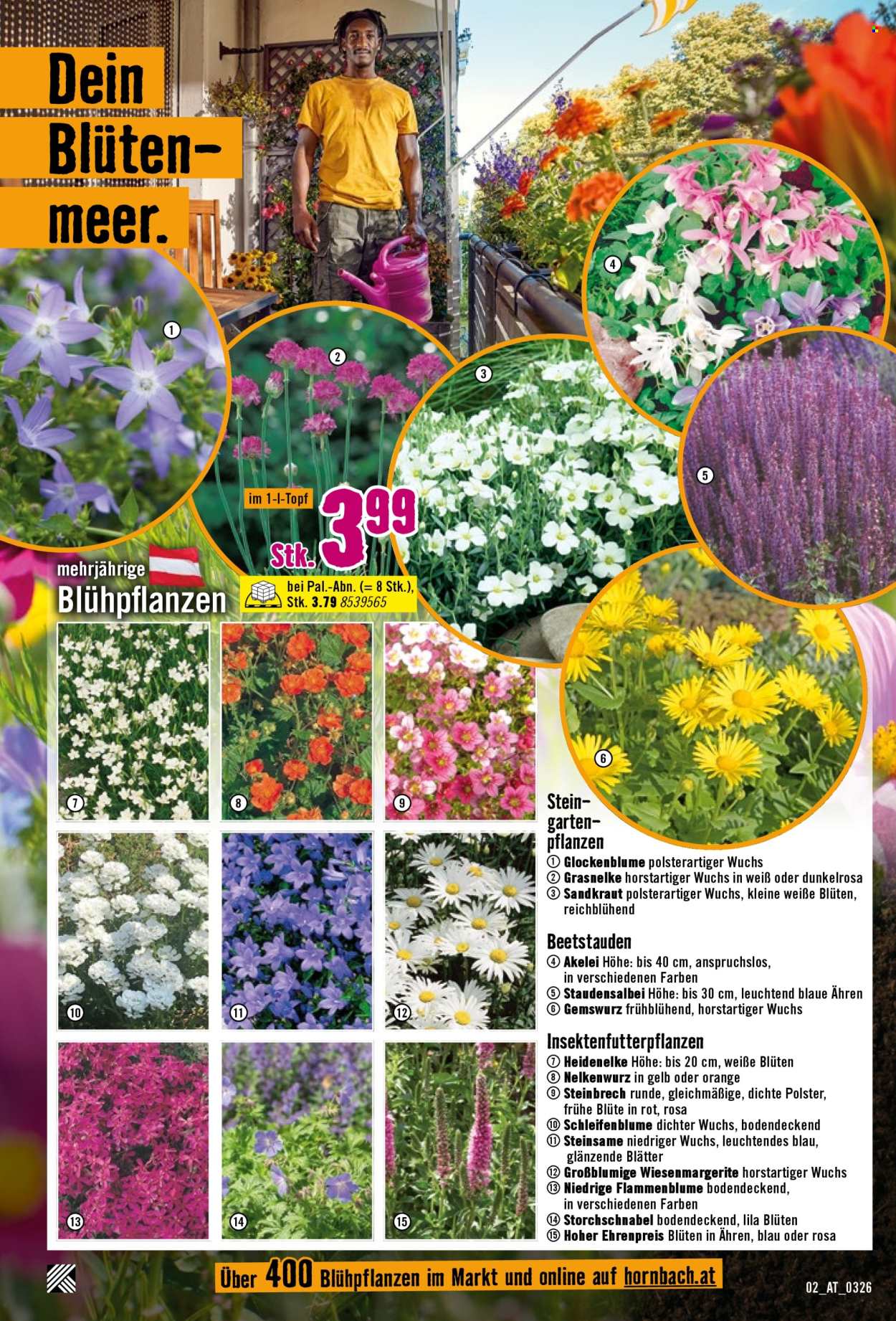 Angebote Hornbach - 1.4.2026 - 15.4.2026. Seite 2