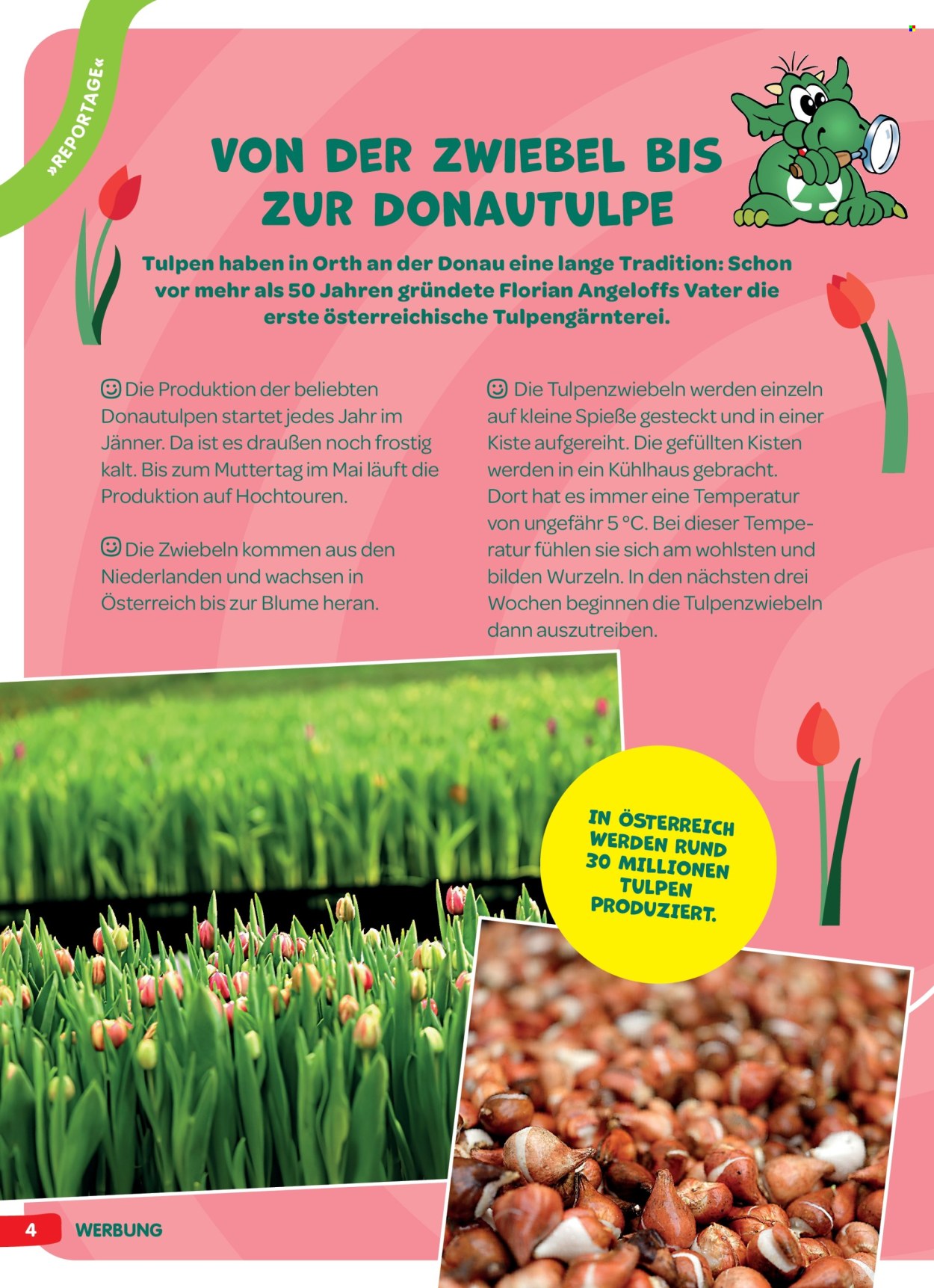 Angebote INTERSPAR. Seite 4