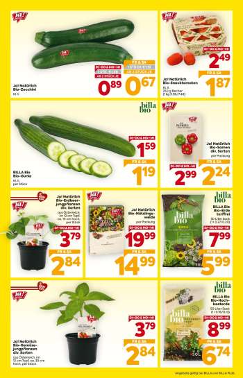 thumbnail - Ja! Natürlich Bio-Zucchini