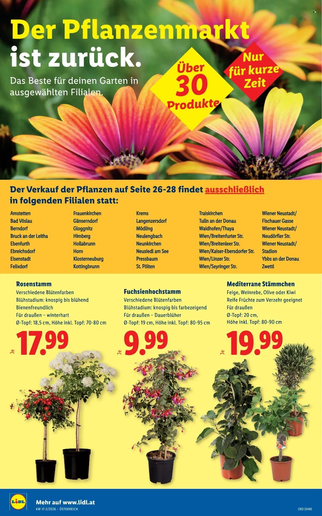 Angebote Lidl - 23.4.2026 - 29.4.2026. Seite 28