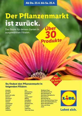 Angebote Lidl - 23.4.2026 - 25.4.2026.