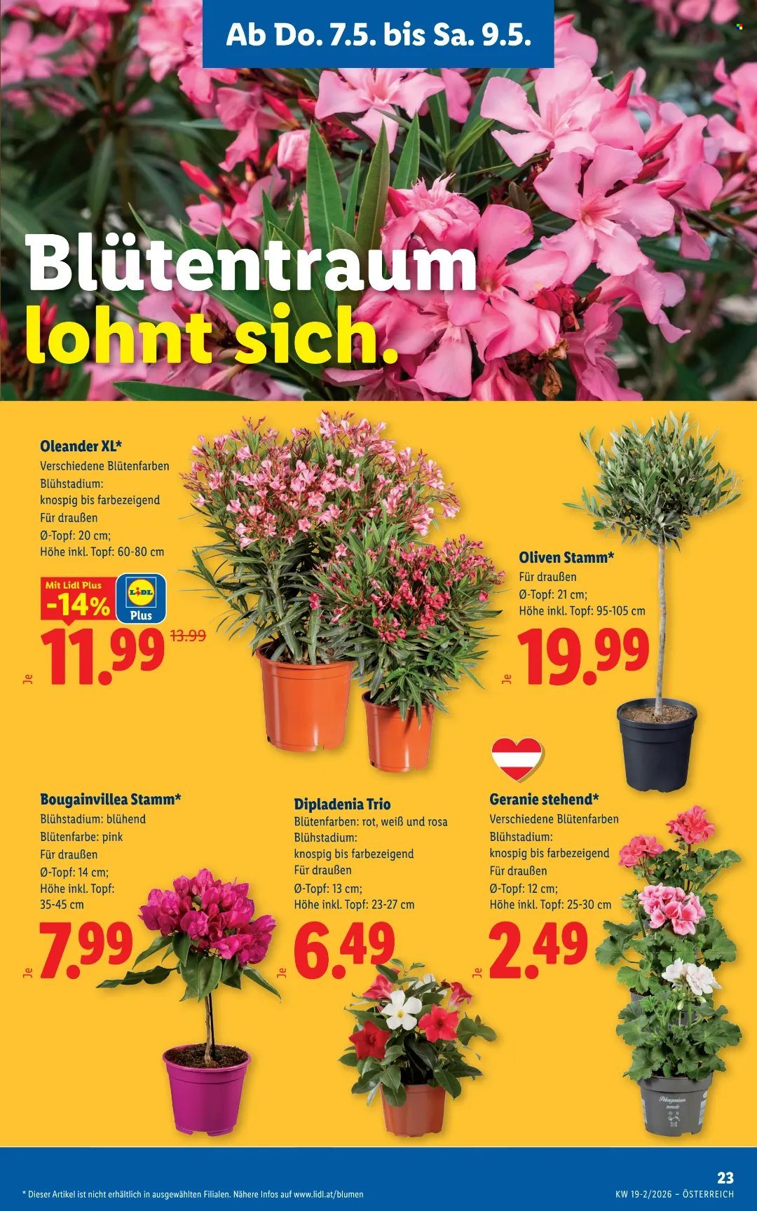 Angebote Lidl - 7.5.2026 - 12.5.2026. Seite 25
