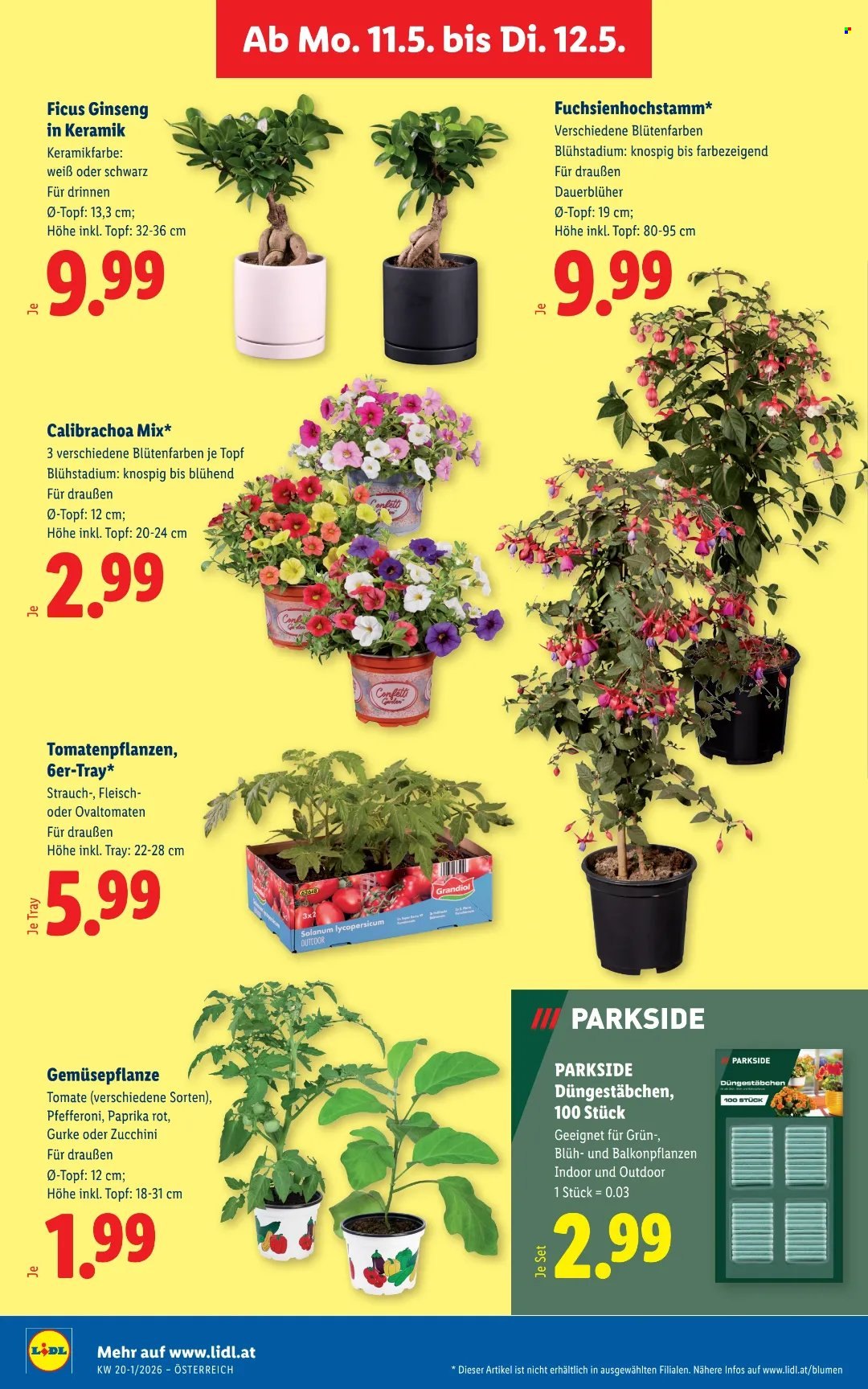 Angebote Lidl - 7.5.2026 - 12.5.2026. Seite 31