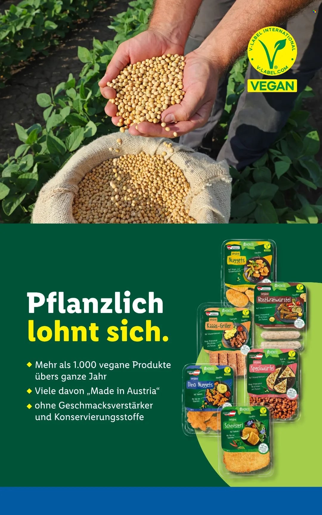 Angebote Lidl - 21.5.2026 - 27.5.2026. Seite 50