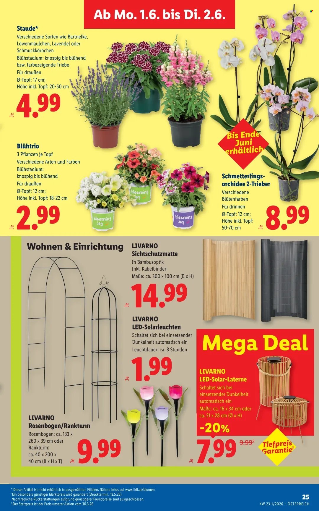 Angebote Lidl - 28.5.2026 - 2.6.2026. Seite 32