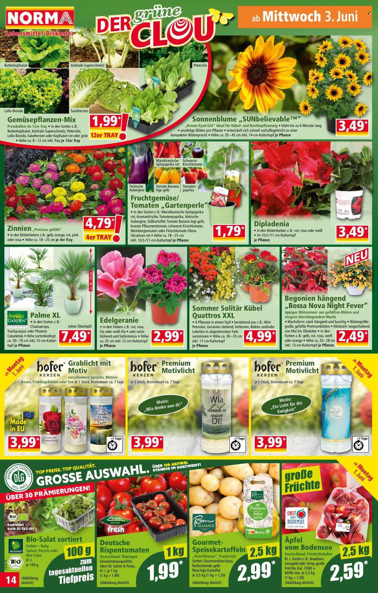 Angebote Norma - 1.6.2026 - 6.6.2026. Seite 14