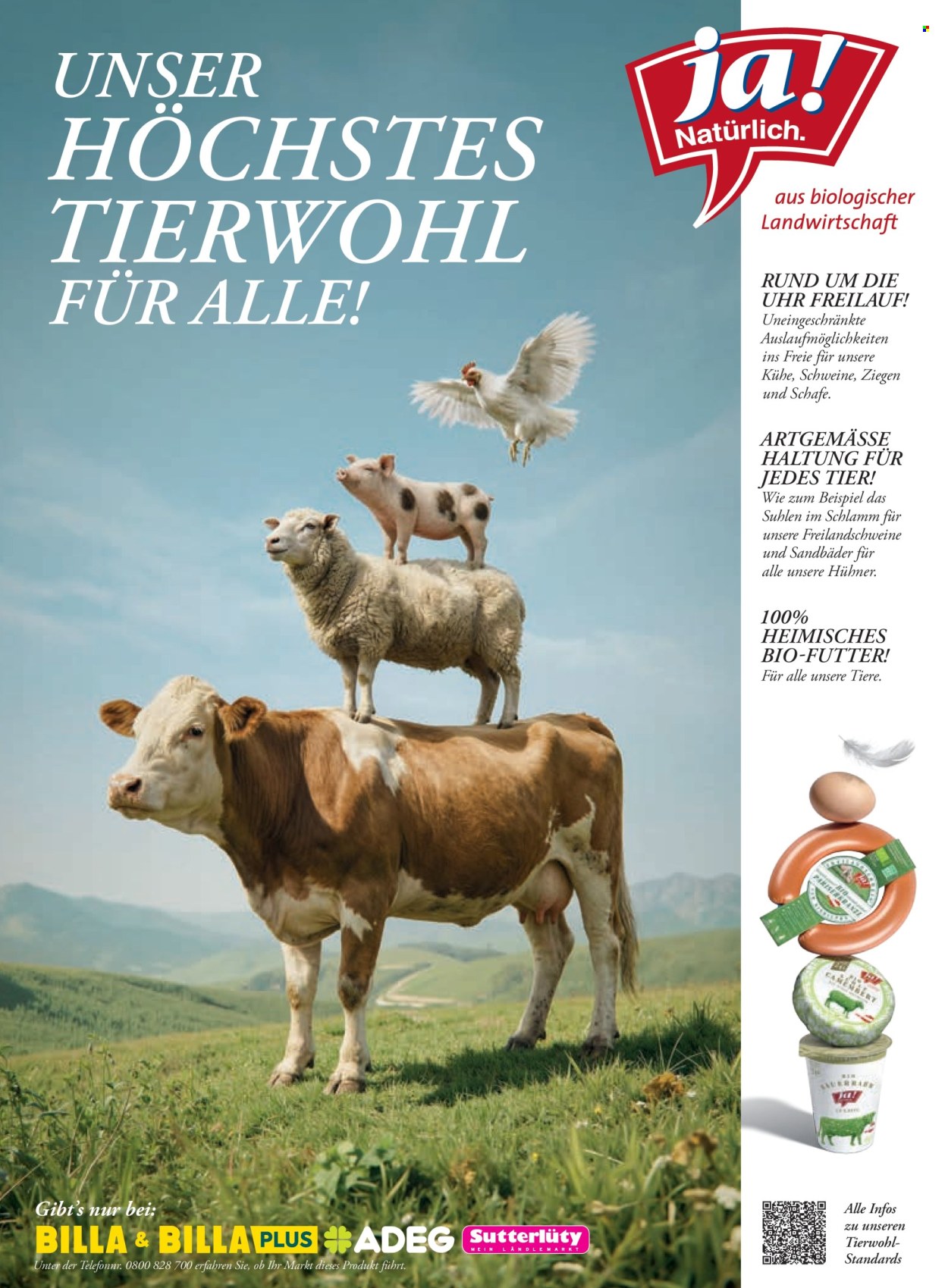 Angebote Billa - 1.6.2026 - 30.6.2026. Seite 100