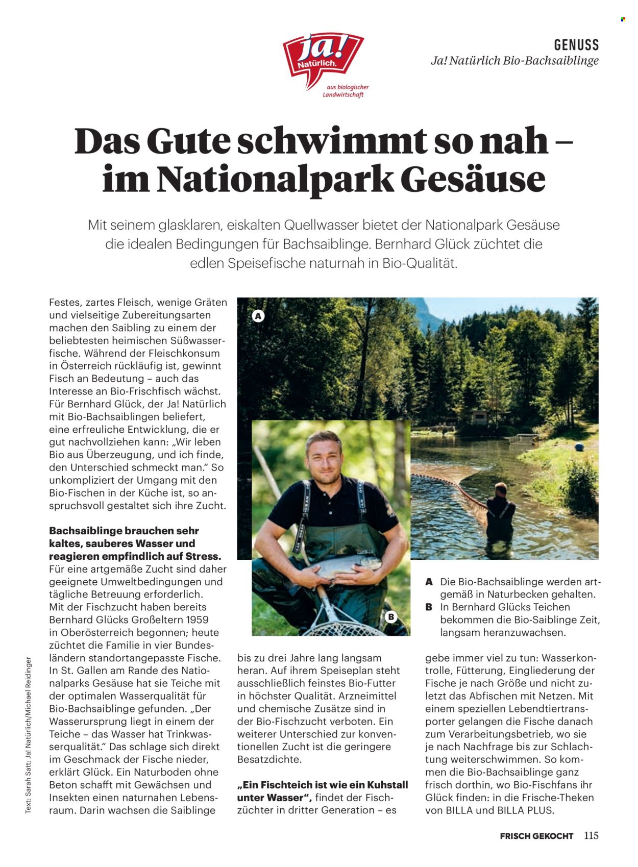 Angebote Billa - 1.6.2026 - 30.6.2026. Seite 111
