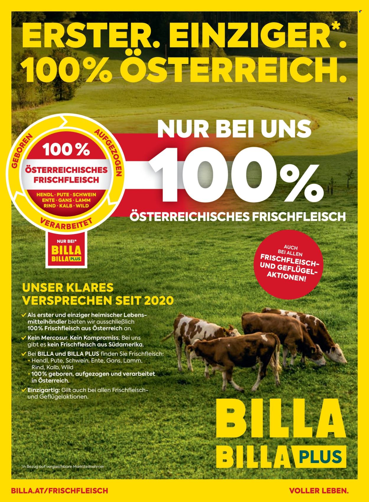 Angebote Billa - 1.6.2026 - 30.6.2026. Seite 167