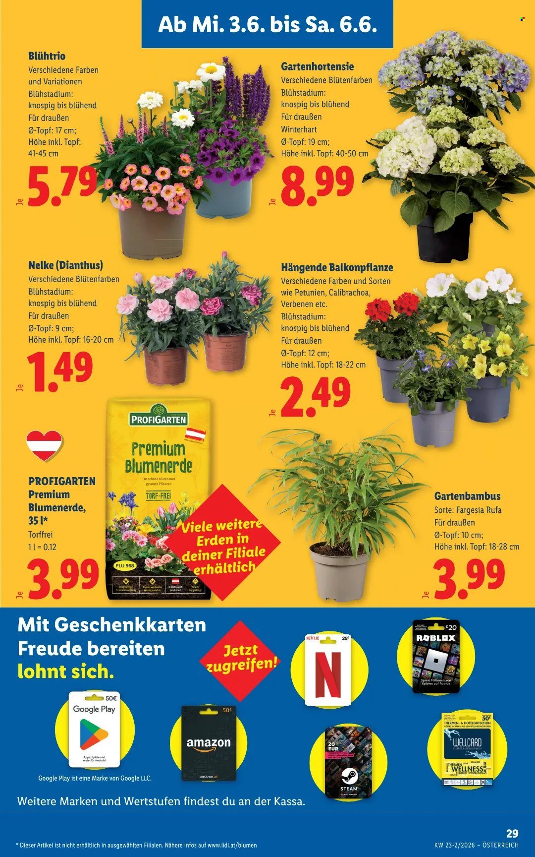 Angebote Lidl - 3.6.2026 - 10.6.2026. Seite 33