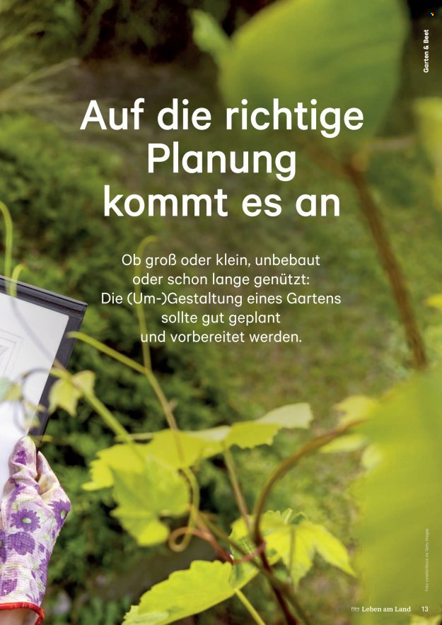 Angebote Lagerhaus. Seite 13