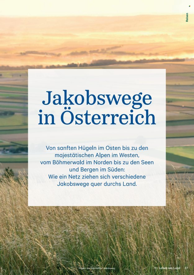 Angebote Lagerhaus. Seite 37