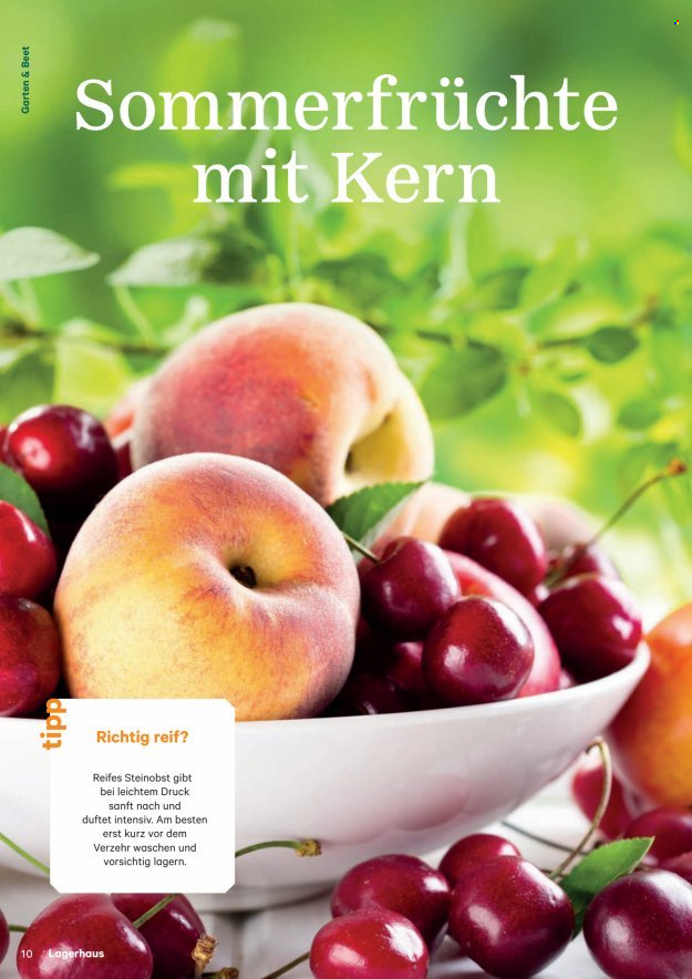 Angebote Lagerhaus. Seite 10