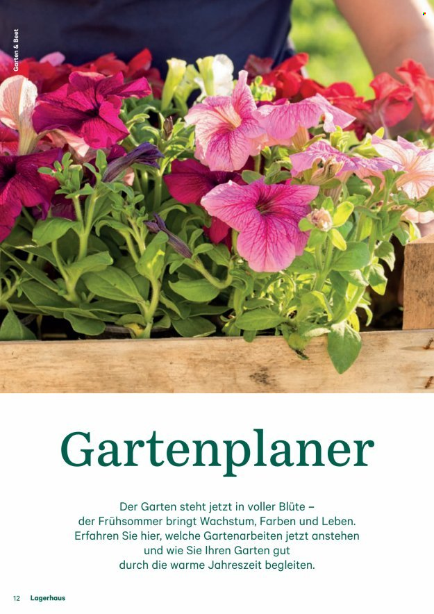 Angebote Lagerhaus. Seite 12