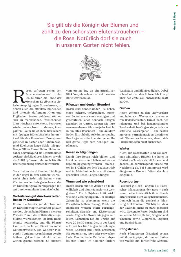 Angebote Lagerhaus. Seite 15