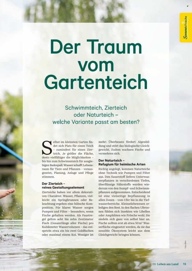 Angebote Lagerhaus. Seite 19