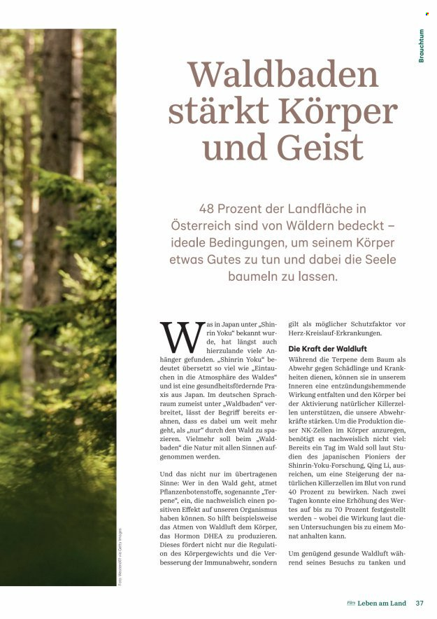 Angebote Lagerhaus. Seite 37