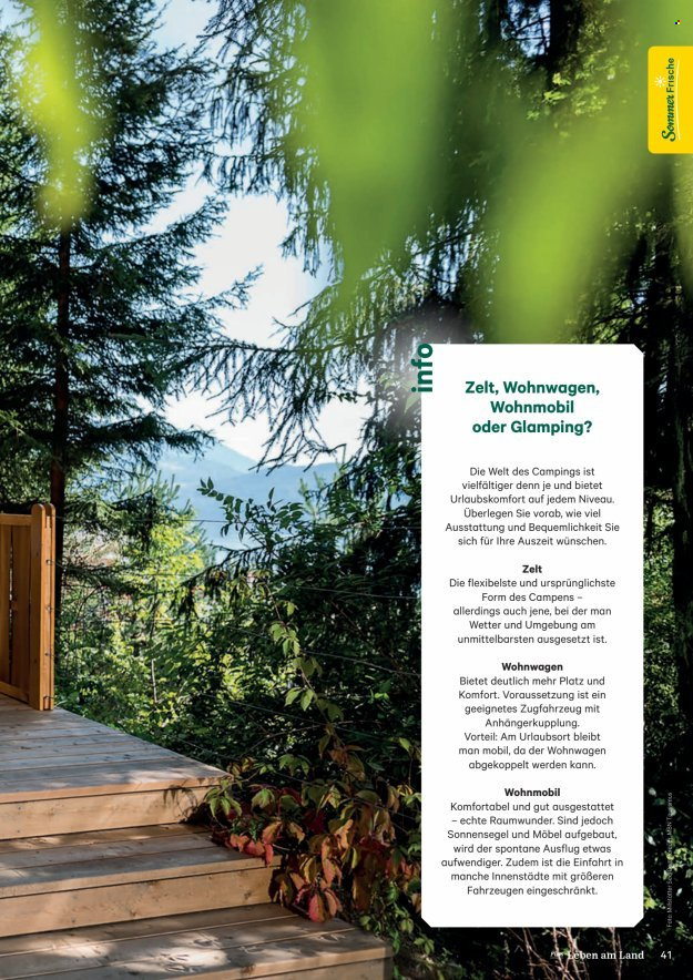 Angebote Lagerhaus. Seite 41