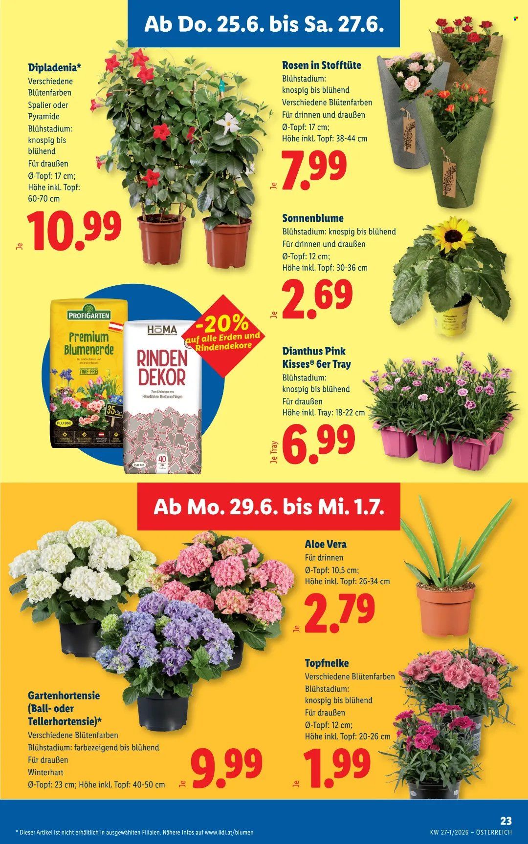Angebote Lidl - 25.6.2026 - 1.7.2026. Seite 26