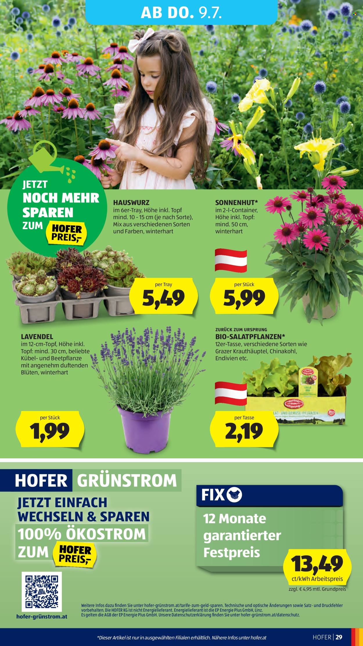 Angebote Hofer - 3.7.2026 - 9.7.2026. Seite 35