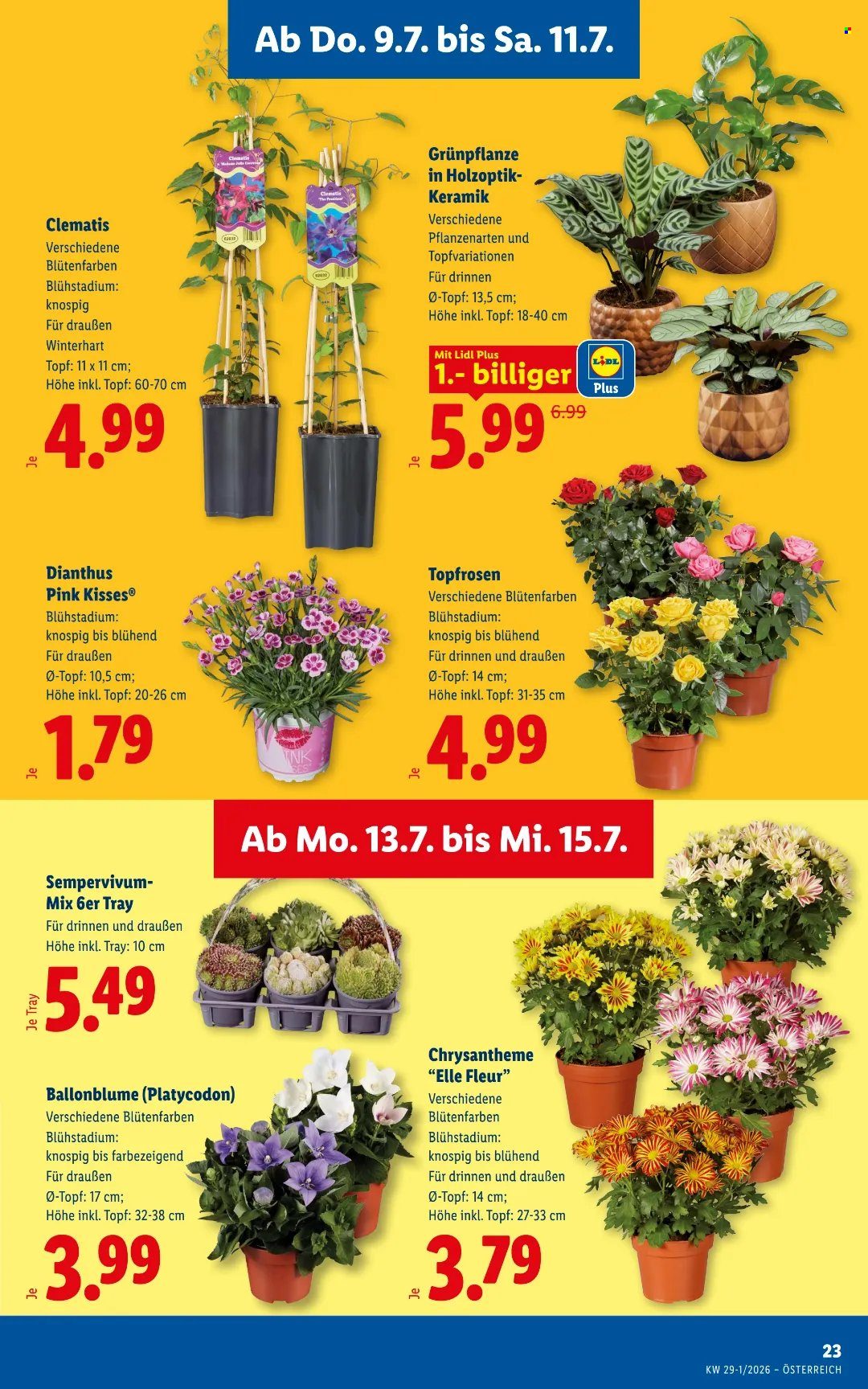 Angebote Lidl - 9.7.2026 - 15.7.2026. Seite 26