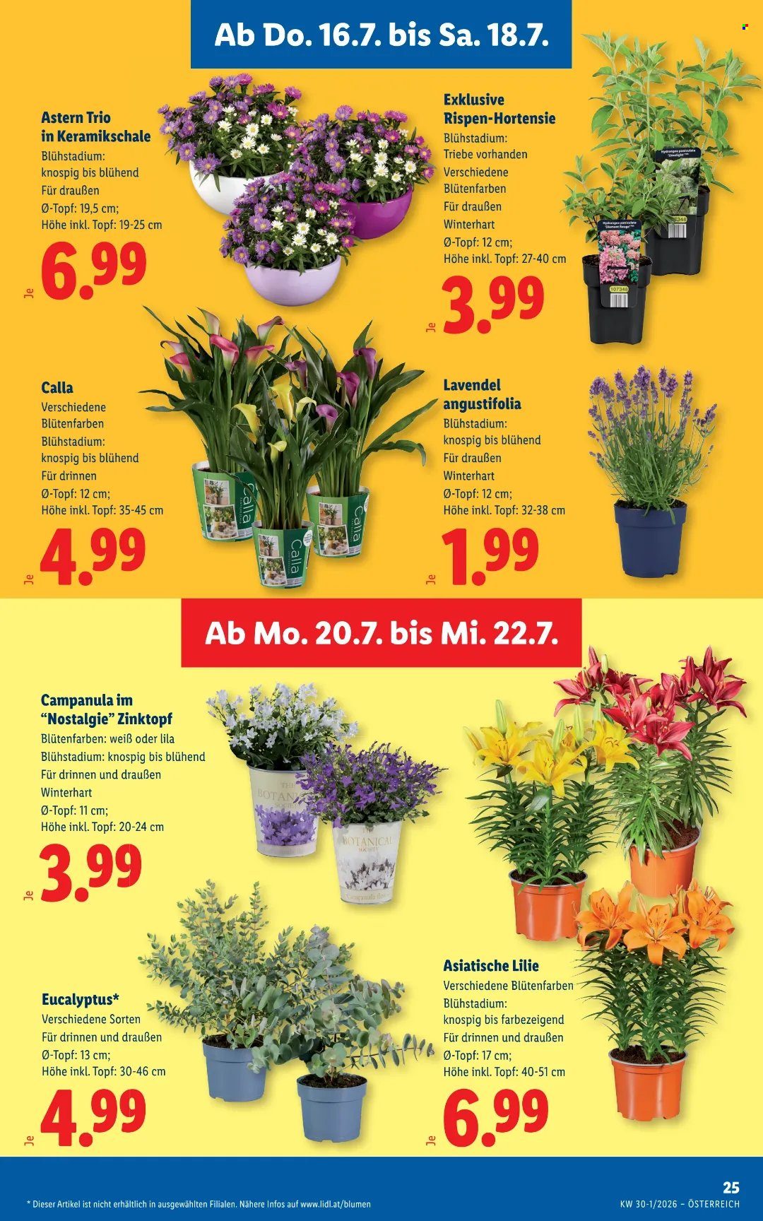 Angebote Lidl - 16.7.2026 - 22.7.2026. Seite 29