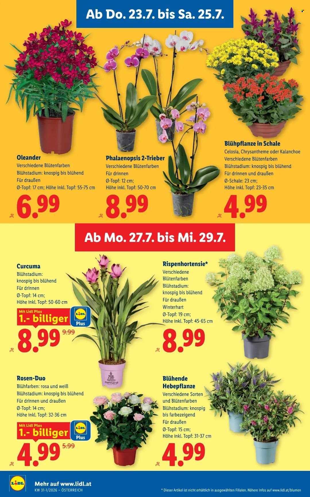 Angebote Lidl - 23.7.2026 - 29.7.2026. Seite 30