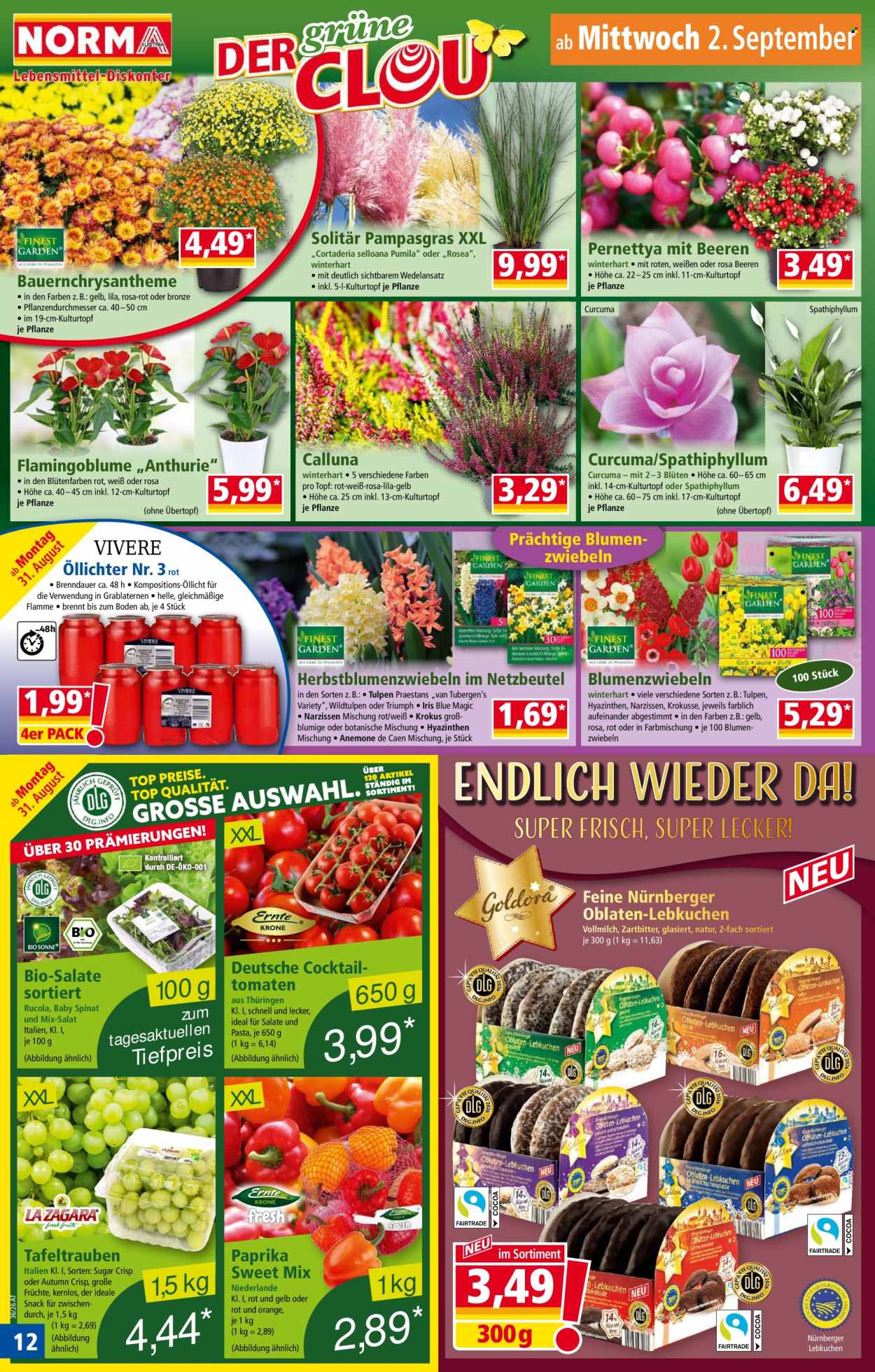 Angebote Norma - 31.8.2026 - 5.9.2026. Seite 12