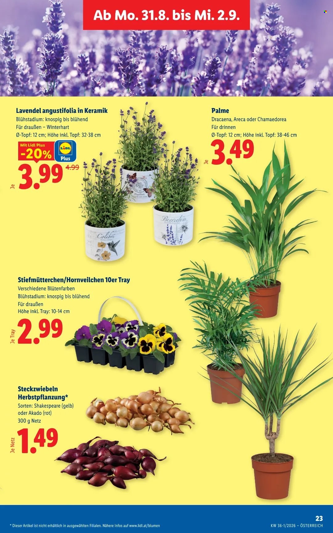Angebote Lidl - 27.8.2026 - 2.9.2026. Seite 30