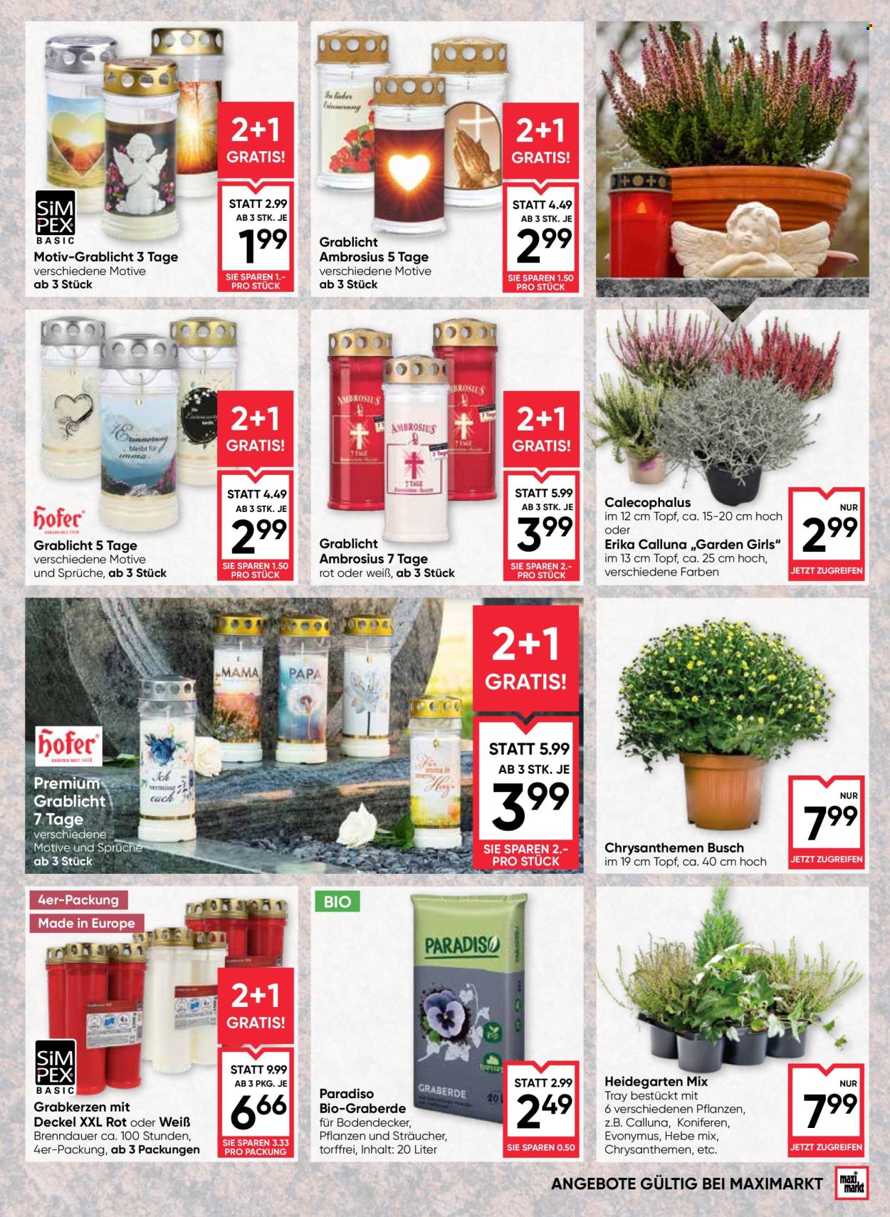 Angebote Maximarkt - 10.9.2026 - 16.9.2026. Seite 17