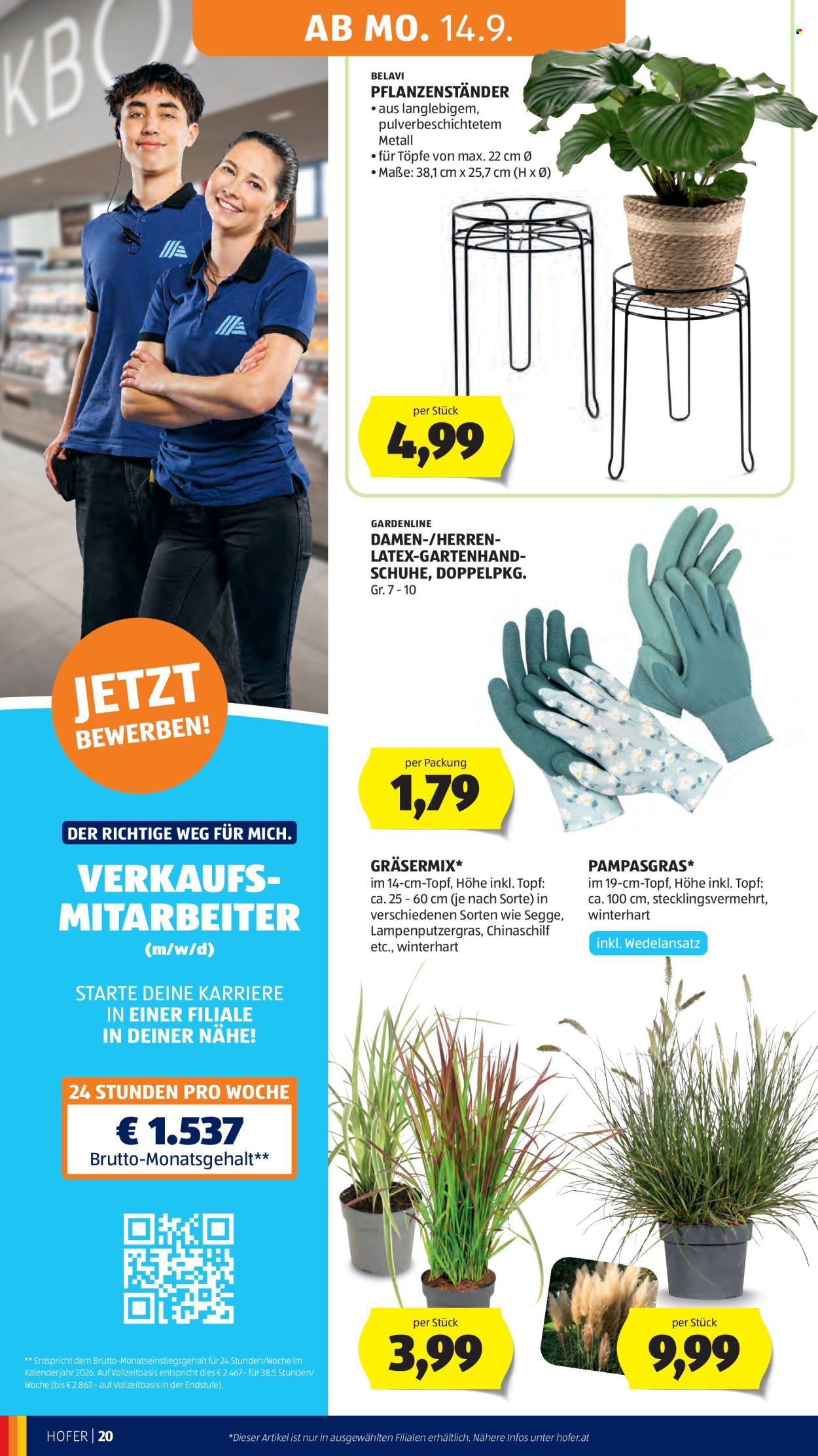 Angebote Hofer - 11.9.2026 - 17.9.2026. Seite 30
