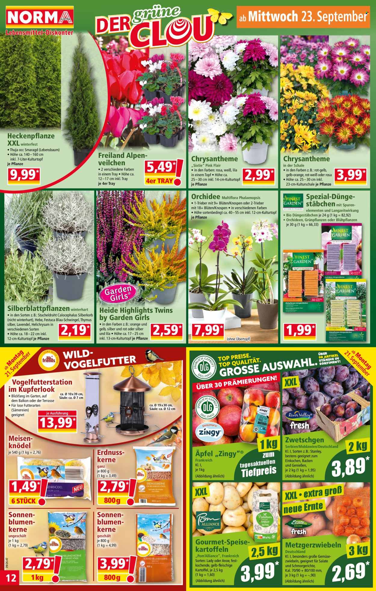 Angebote Norma - 21.9.2026 - 26.9.2026. Seite 12
