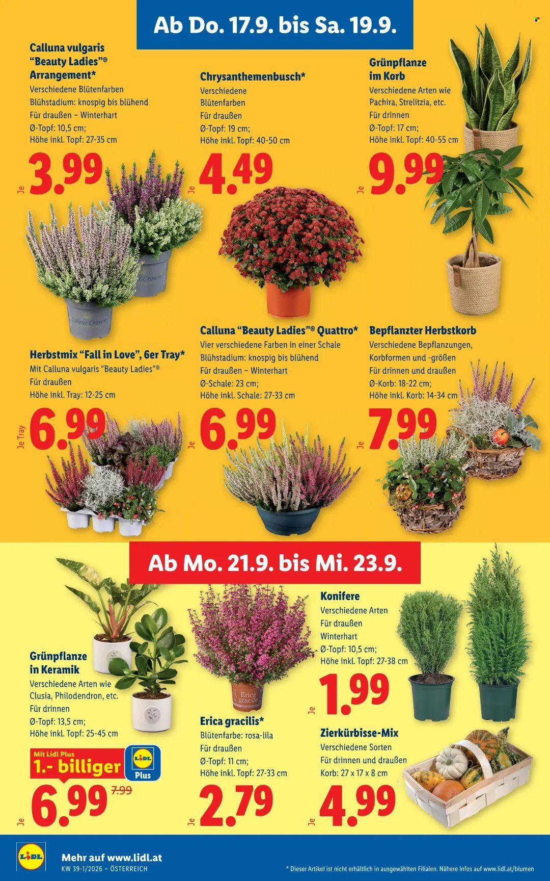 Angebote Lidl - 17.9.2026 - 23.9.2026. Seite 28