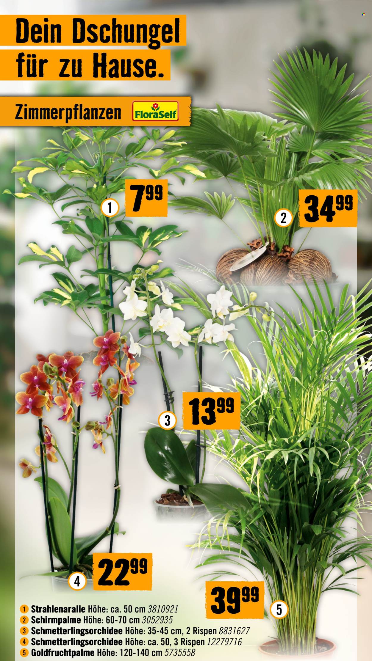 Angebote Hornbach - 28.9.2026 - 14.10.2026. Seite 42