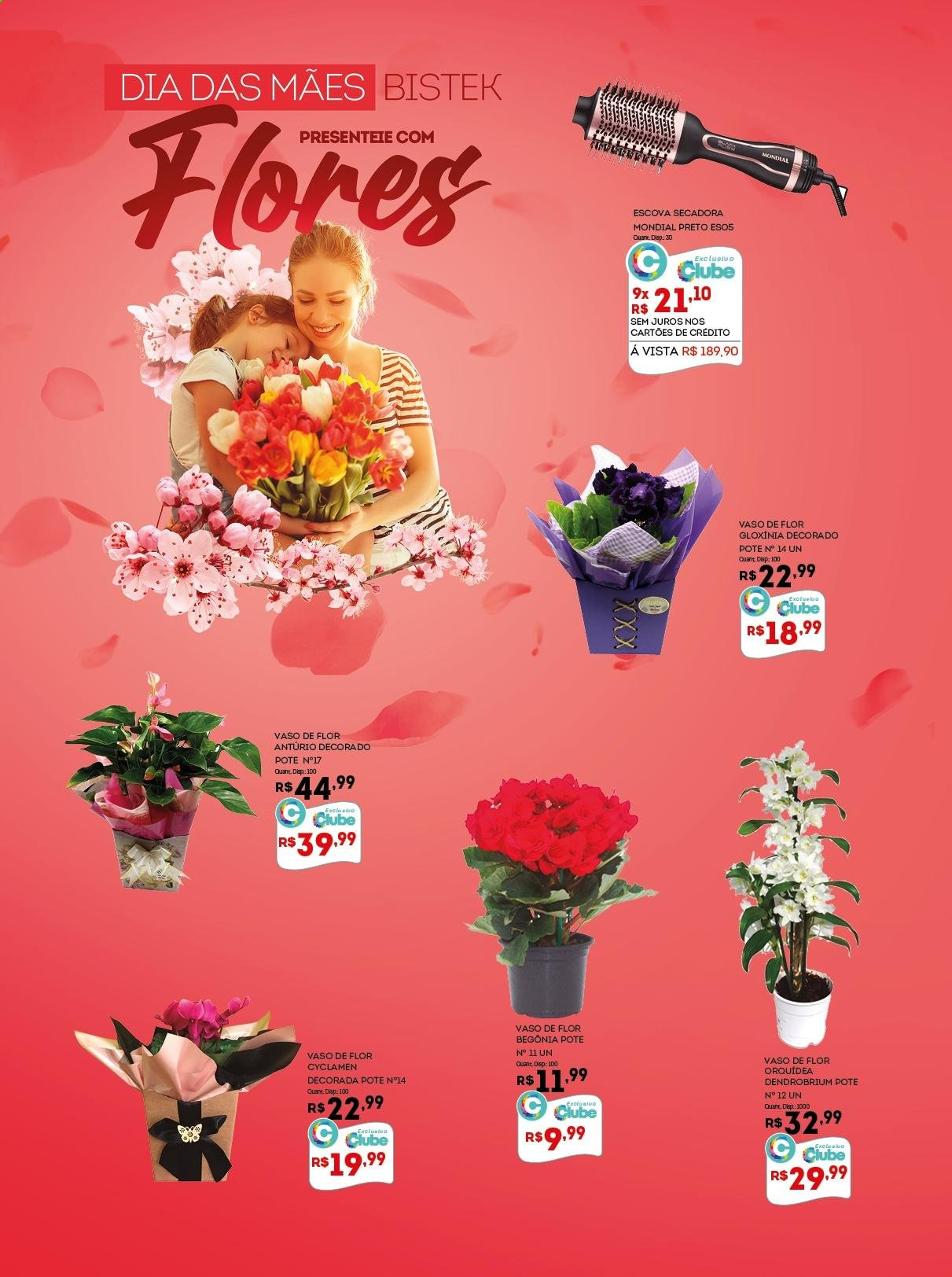 thumbnail - Folheto Bistek Supermercados - 28/04/2021 - 11/05/2021 - Produtos em promoção - escova. Página 2.