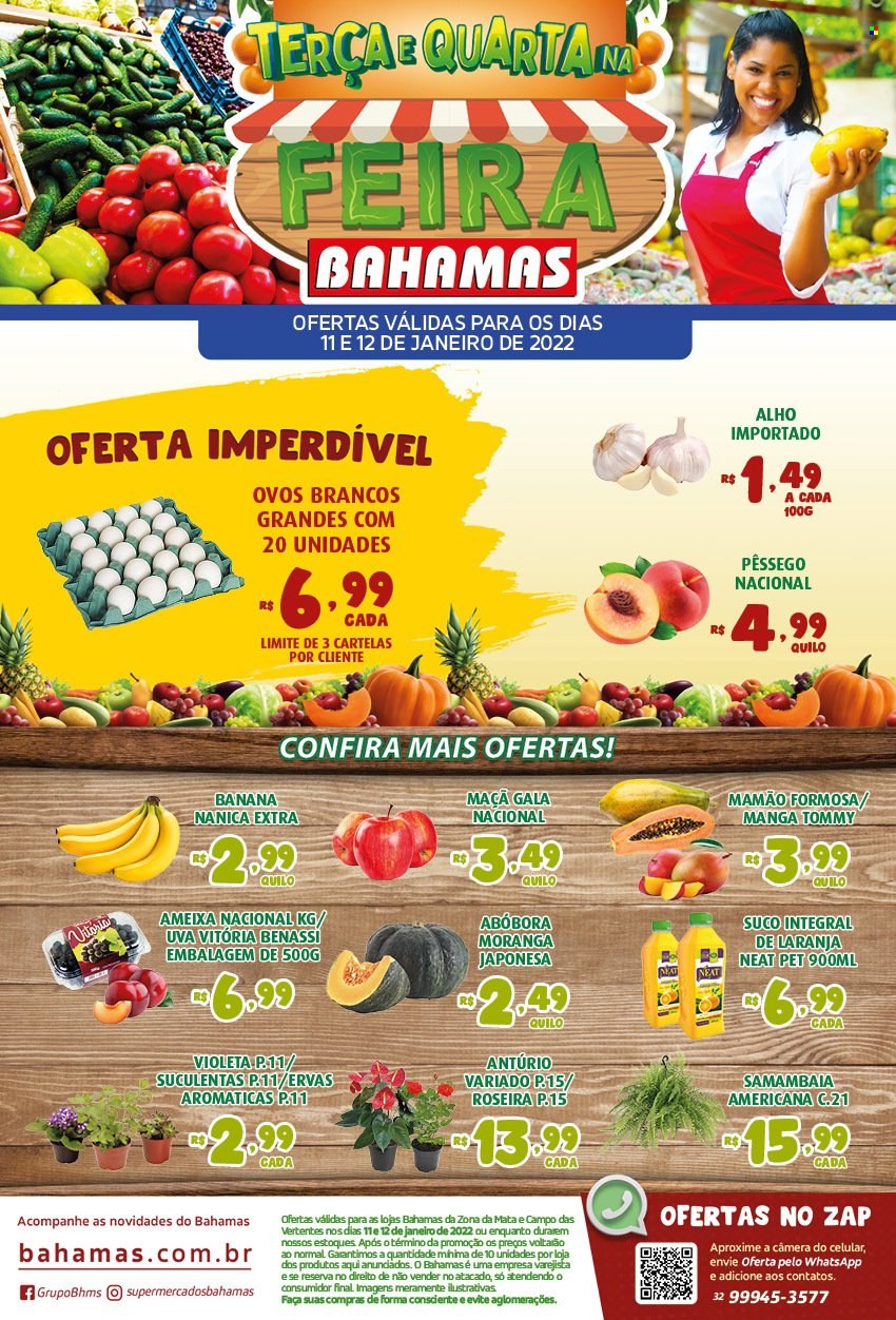 thumbnail - Folheto Bahamas Supermercados - 11/01/2022 - 12/01/2022 - Produtos em promoção - banana, maçã, papaia, pêssego, mamão, manga, abóbora, alho, ovos, ovos brancos, ervas aromáticas, suco, suco integral, faca. Página 1.