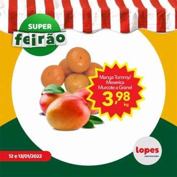 Folheto Lopes Supermercados - 12/01/2022 - 13/01/2022.