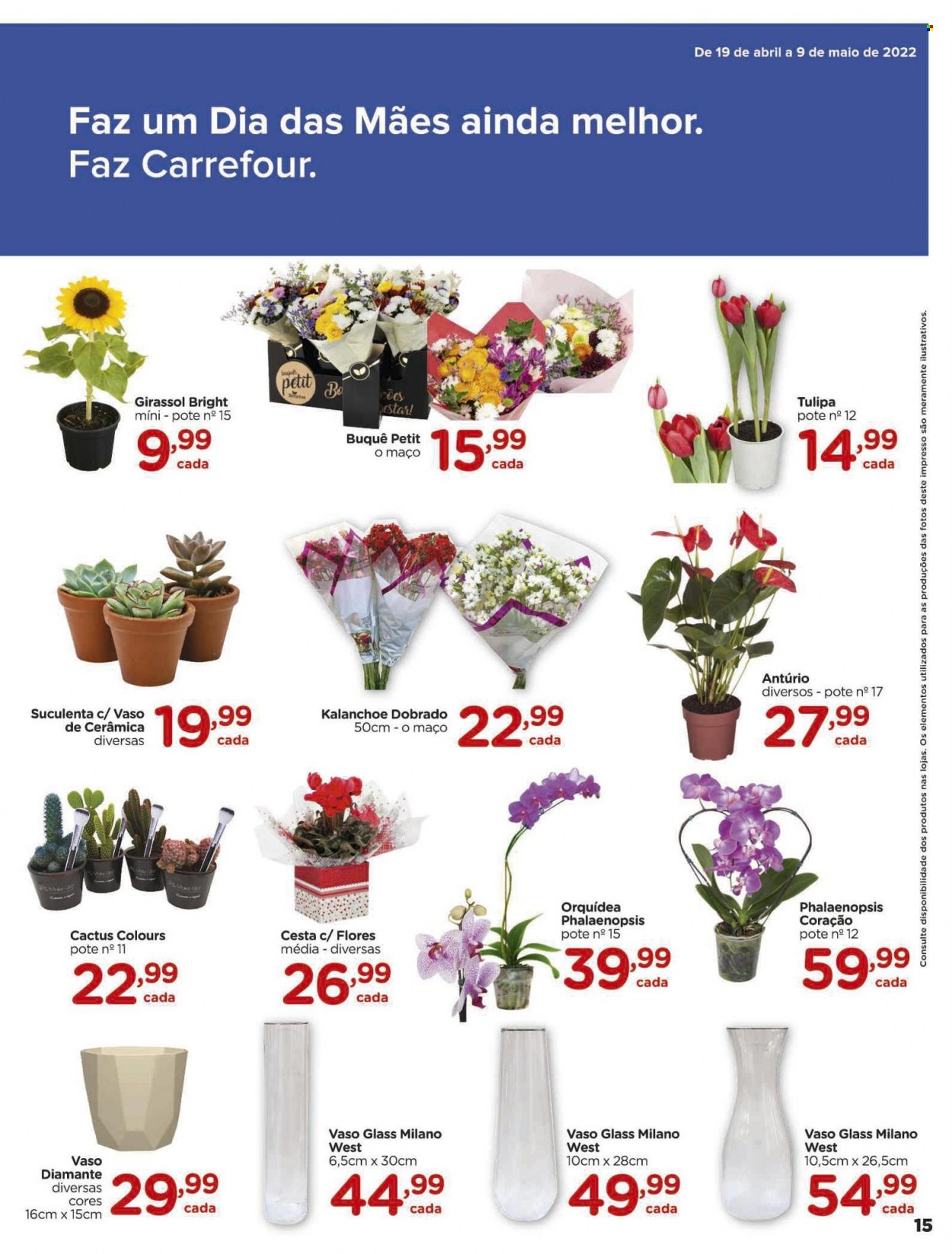 Folheto Carrefour Hiper - 19/04/2022 - 09/05/2022. Página 15