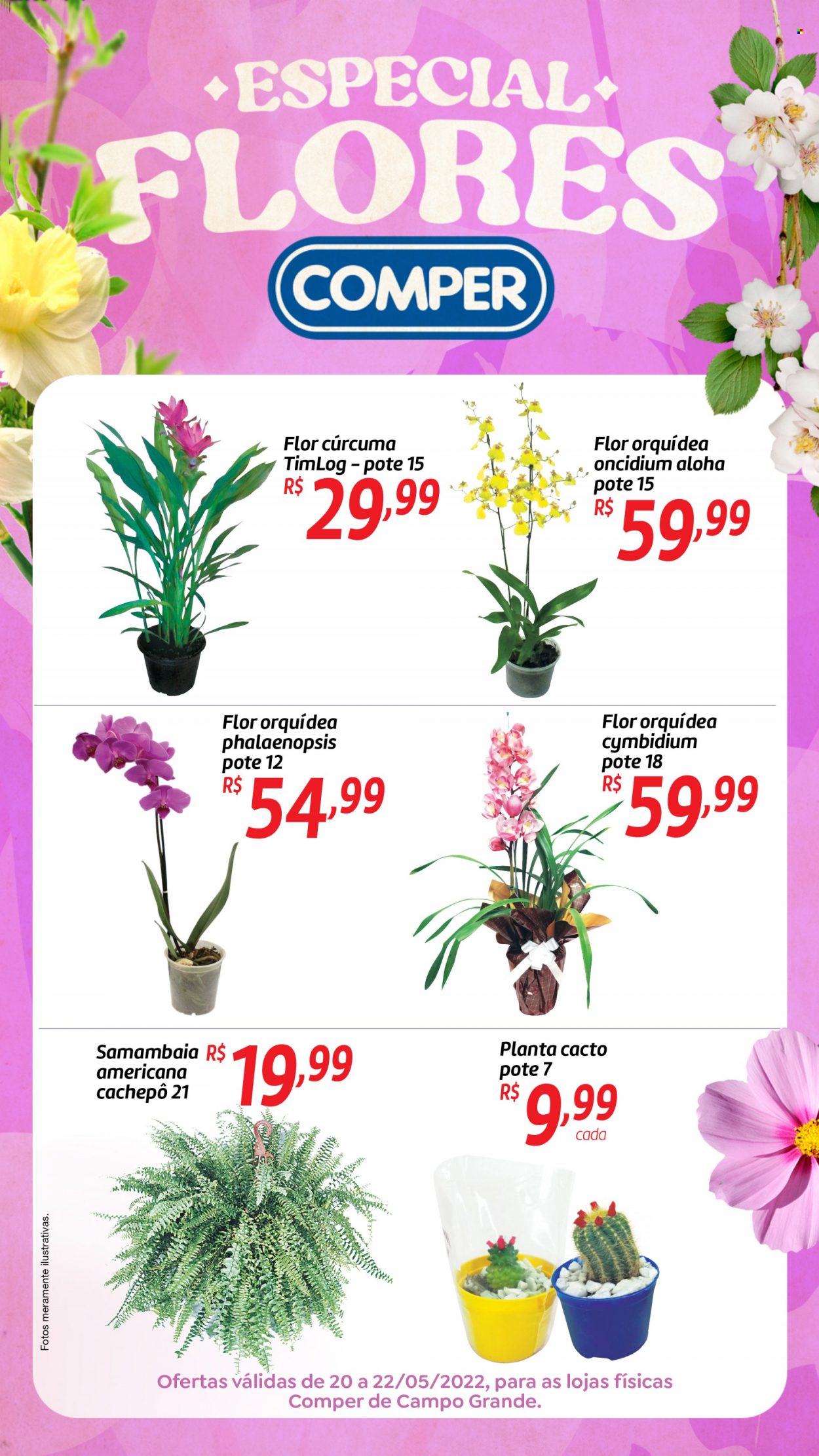 thumbnail - Folheto Comper - 20/05/2022 - 22/05/2022 - Produtos em promoção - orquídea, plantas verdes. Página 1.