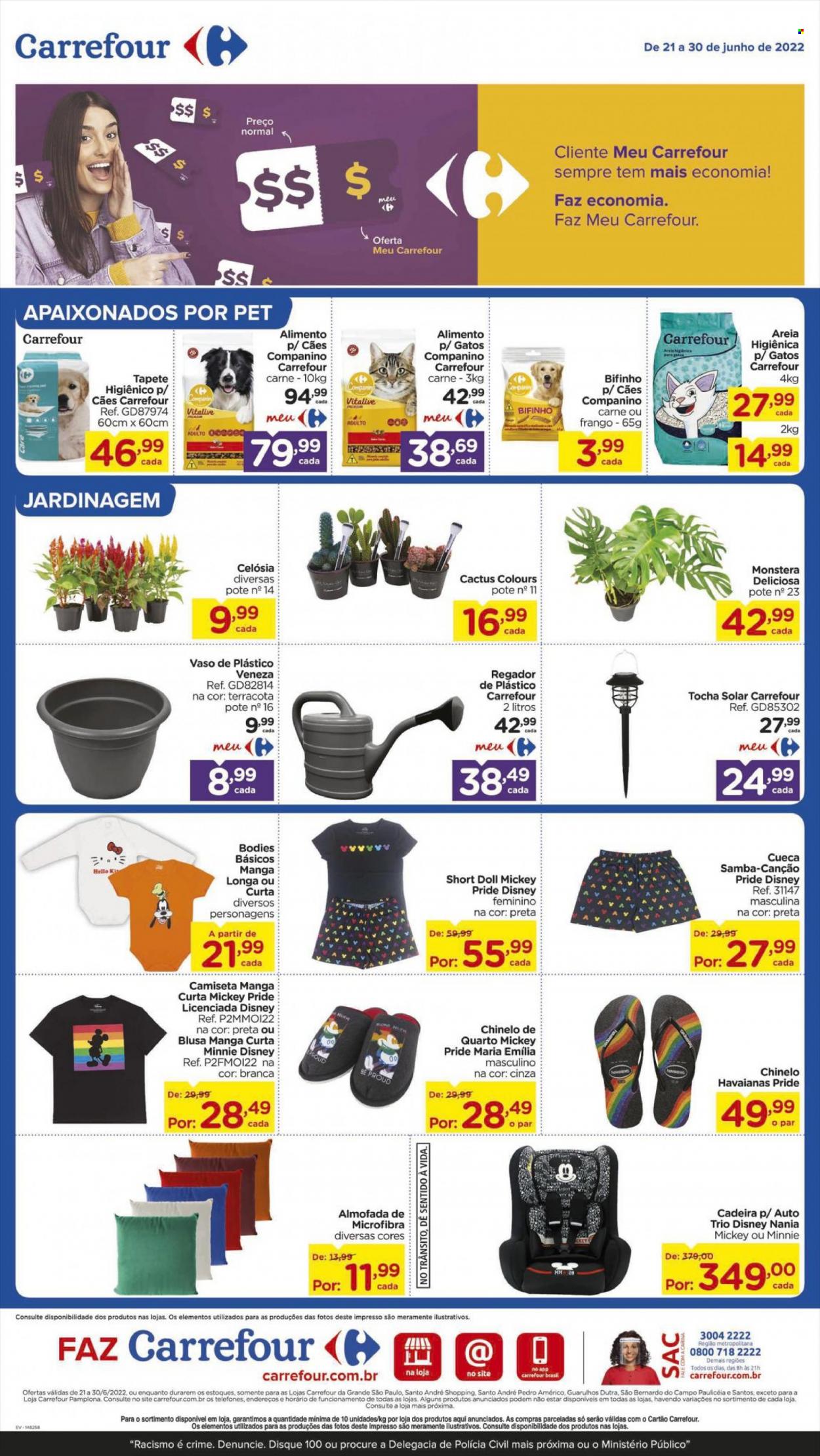 Folheto Carrefour Hiper - 21/06/2022 - 30/06/2022. Página 6