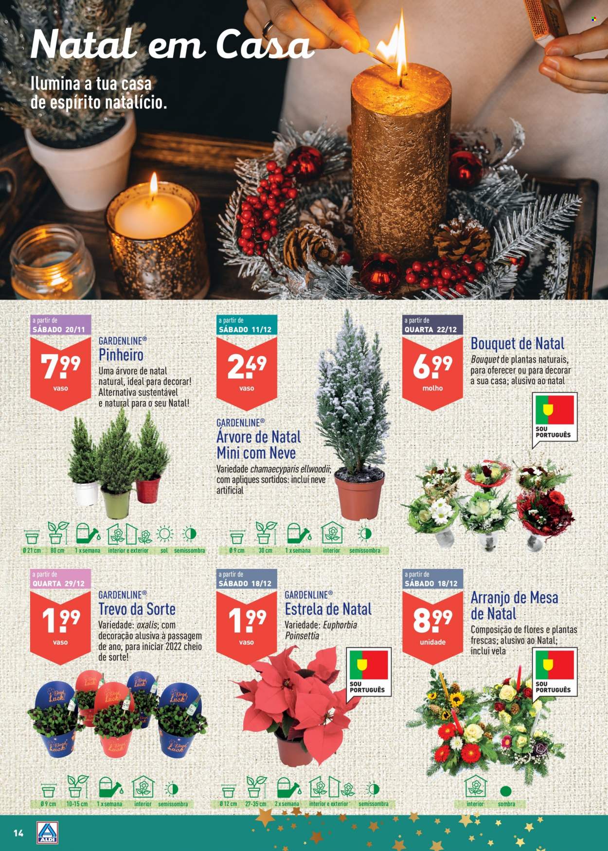thumbnail - Folheto Aldi - 3.11.2021 - 31.12.2021 - Produtos em promoção - Estrela, vela, decoração, árvore de natal, poinséttia. Página 14.