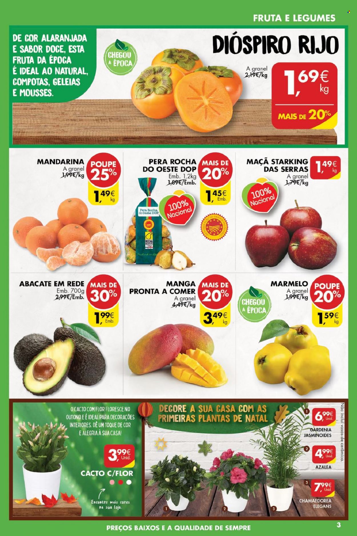 thumbnail - Folheto Pingo Doce - 16.11.2021 - 22.11.2021 - Produtos em promoção - maçã, pera, abacate, mandarina, manga. Página 3.