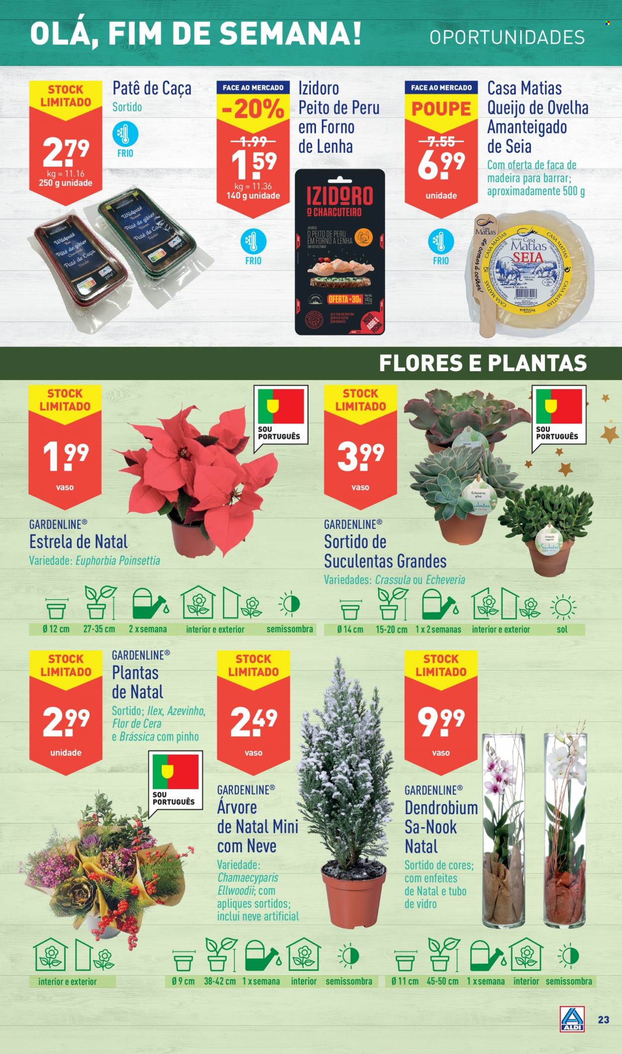 Folheto Aldi - 8.12.2021 - 14.12.2021. Página 23