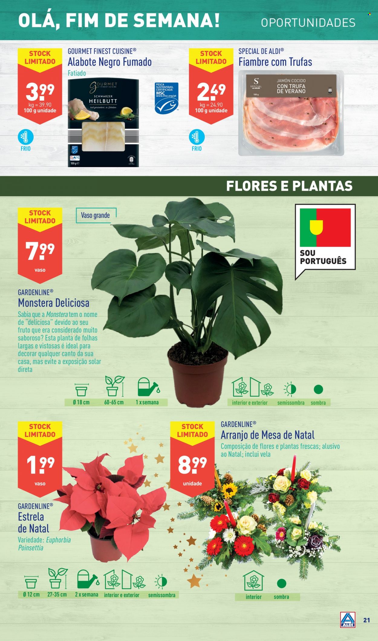 Folheto Aldi - 15.12.2021 - 21.12.2021. Página 21