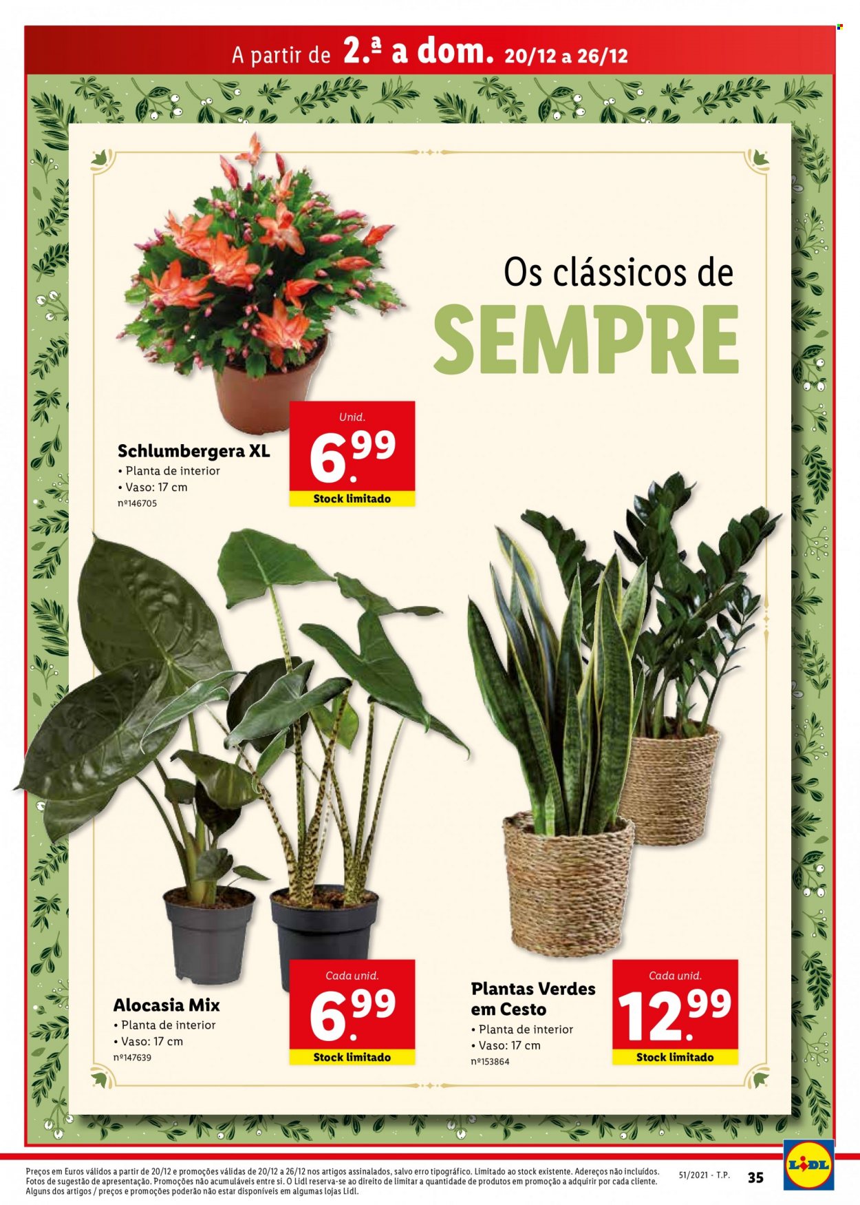 Folheto Lidl - 20.12.2021 - 26.12.2021. Página 35