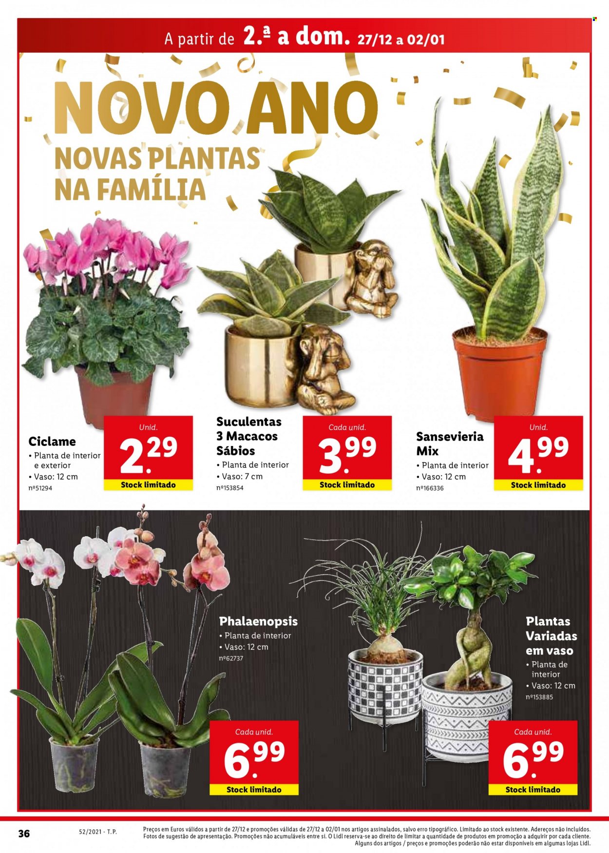 Folheto Lidl - 27.12.2021 - 2.1.2022. Página 36